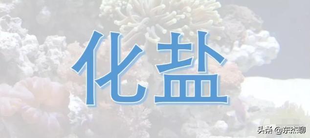 海缸化盐需要多长时间,海缸如何配制海水