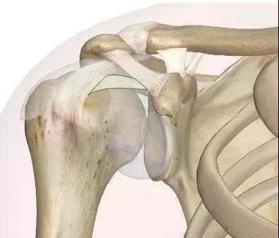 肩关节脱位怎么造成的,肩关节脱位的原因和急救方法