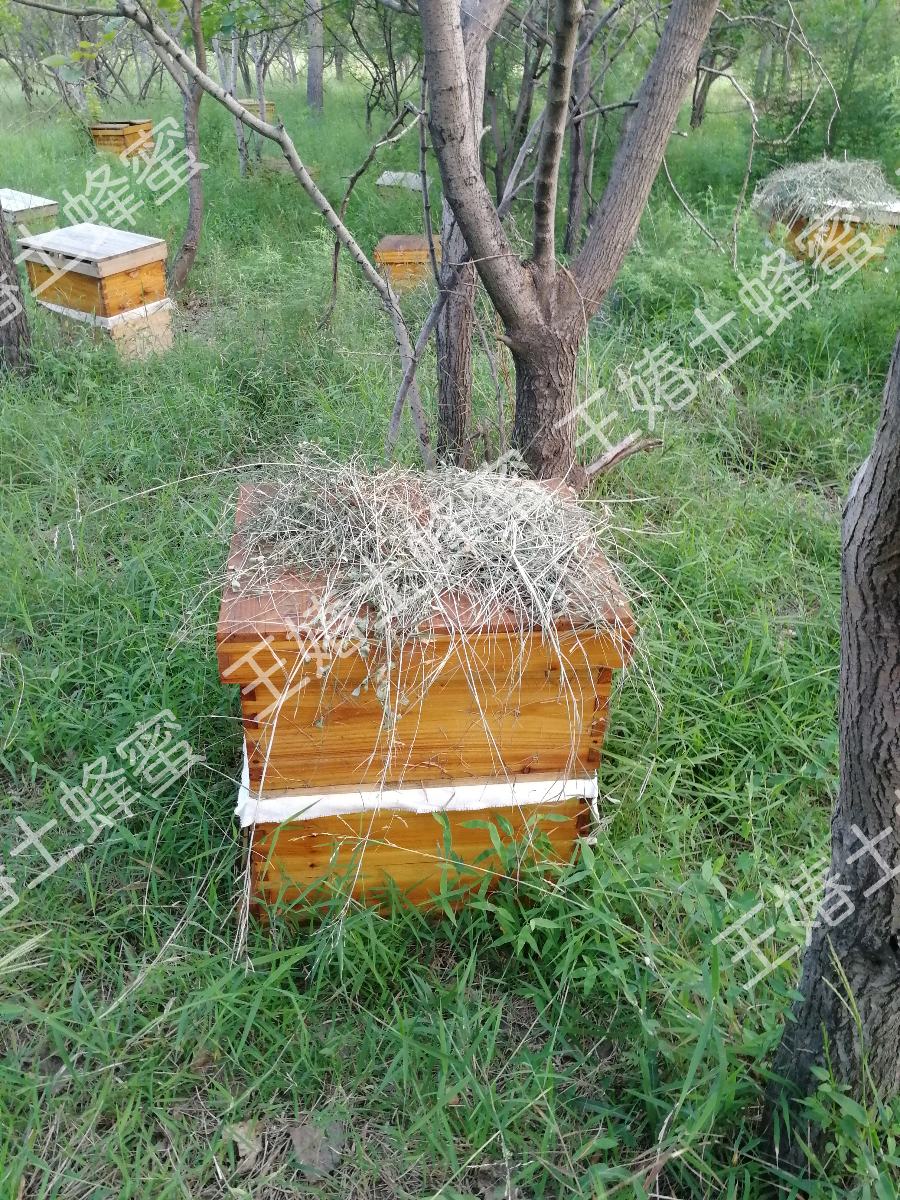 自产自销的蜂蜜属于三无产品吗,蜂蜜出售属于三无产品吗