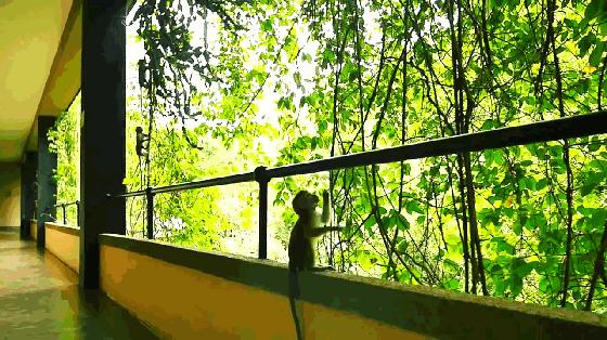 斯里兰卡的风景,风景优美而且物价便宜