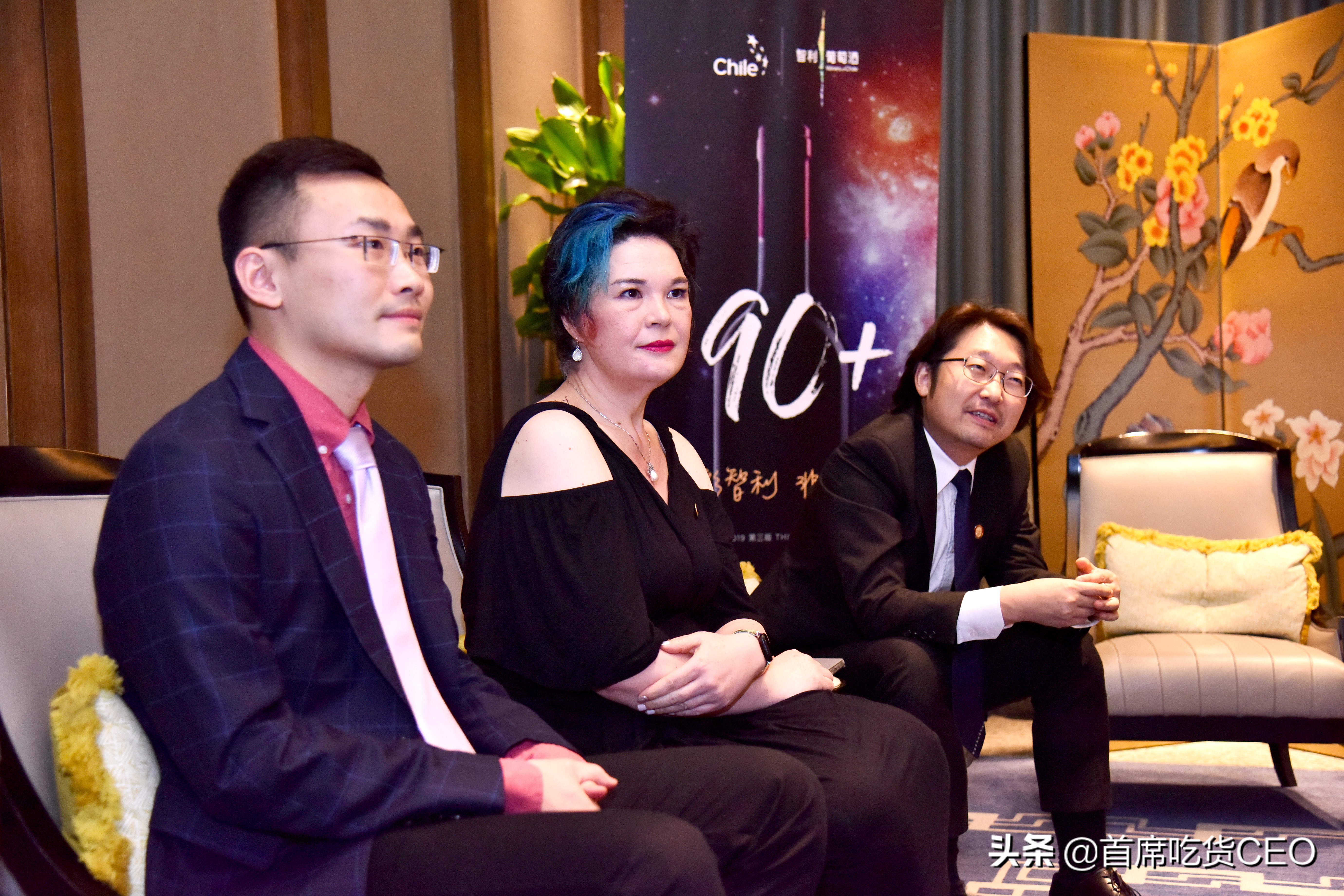 智利美酒推荐,智利美酒