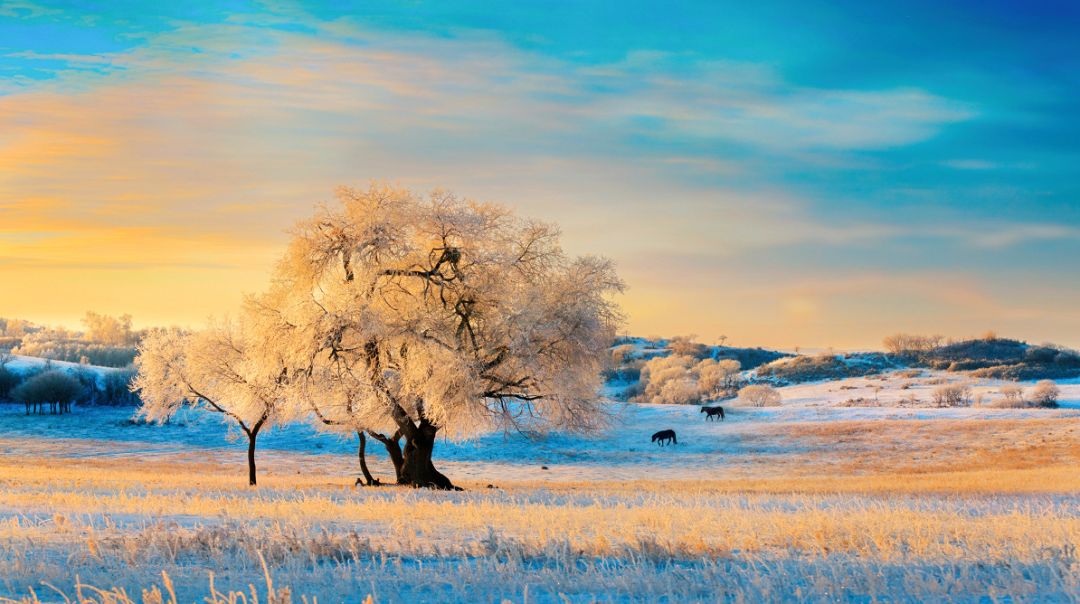 2020旅行时间表,2021年旅行时刻表出炉