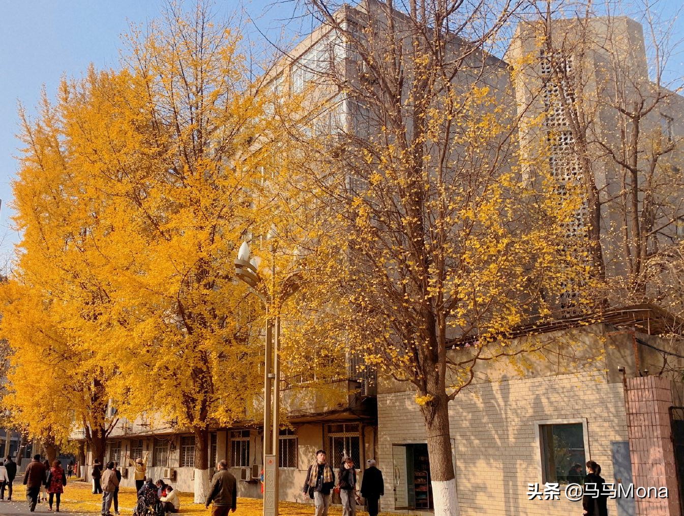 在四川大学学舞蹈，怎么样？