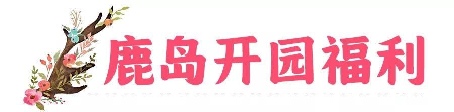 东南花都花博园景观,东南花都花博园