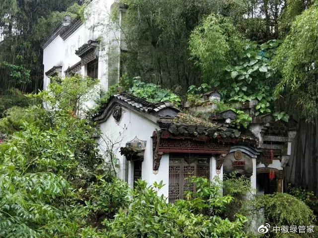 中徽绿化园林,中式园林的四季之美