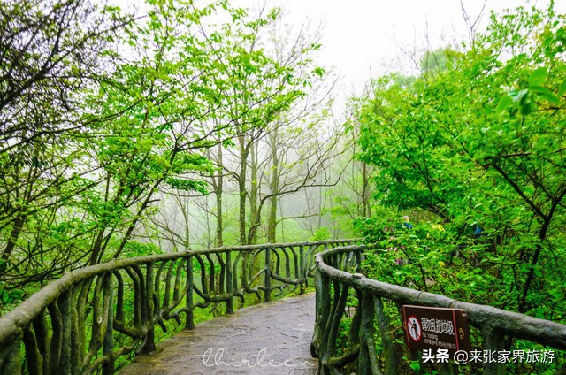 大美张家界之天门山狐仙,张家界旅游天门狐仙值得看吗