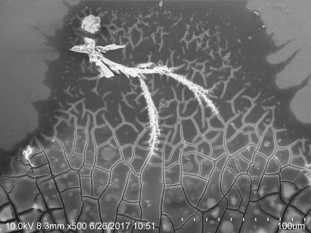 摄影大赛征稿|赋予色彩的世界