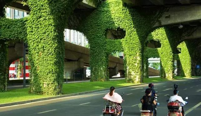 成都的干净程度,成都的街道名为什么好听