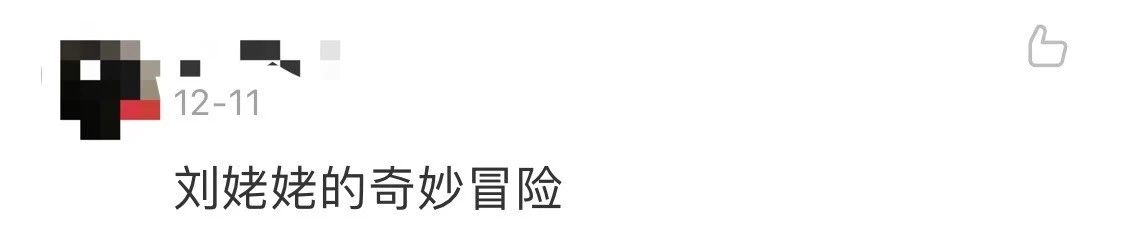 《在下张飞有何贵干》，日式四大名著的名字太有内味了