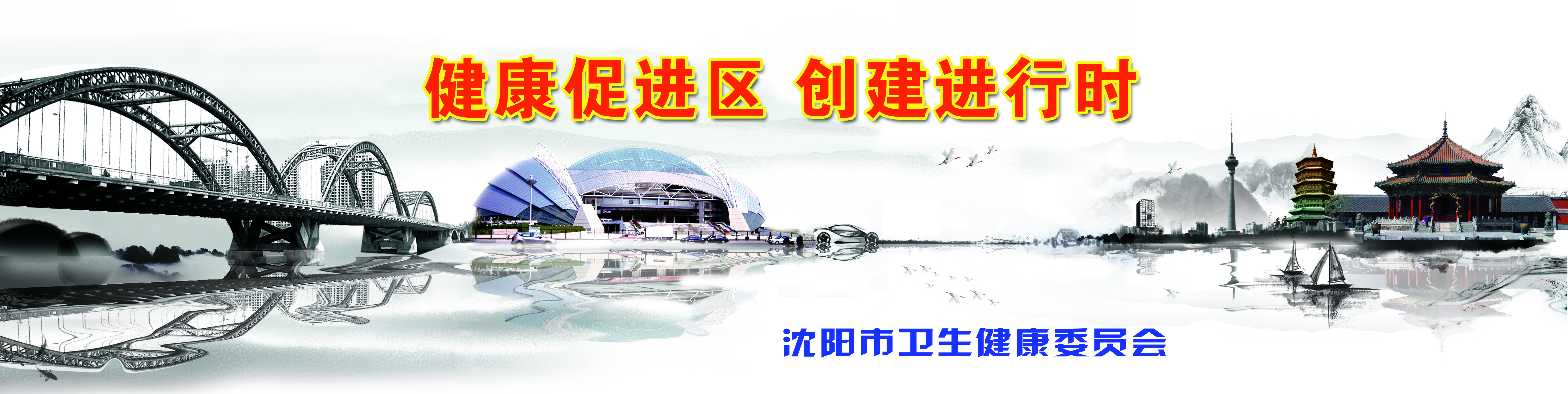 健康促进区的建设,健康促进区创建工作机制
