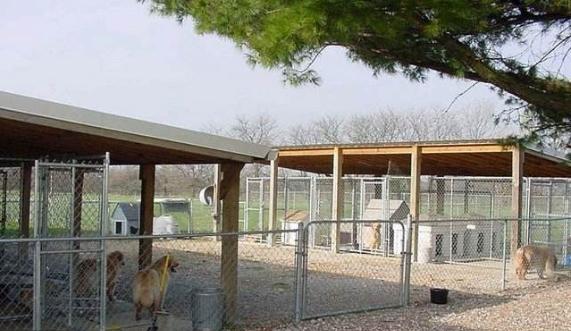 犬细小病毒病活疫苗,犬细小病毒病的意义