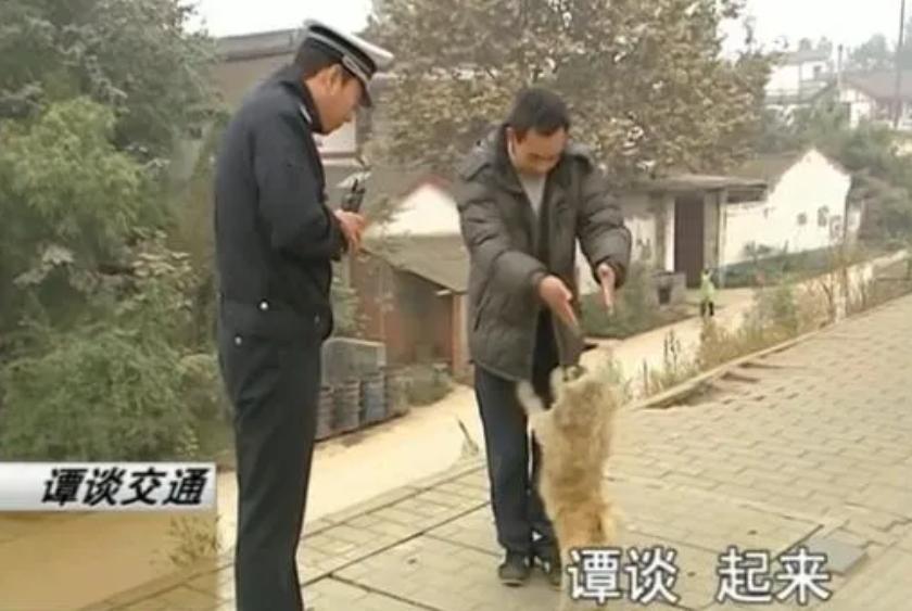 豆瓣9分的国产综艺,国内豆瓣评分9.5以上的综艺