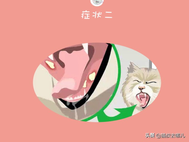 猫鼻支炎怎么治,猫鼻支气管炎能自愈吗