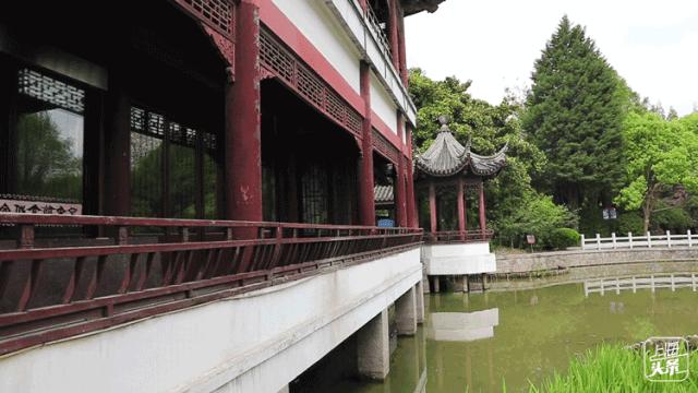 生日当天上海免费景点,上海网红打卡地点景点免费