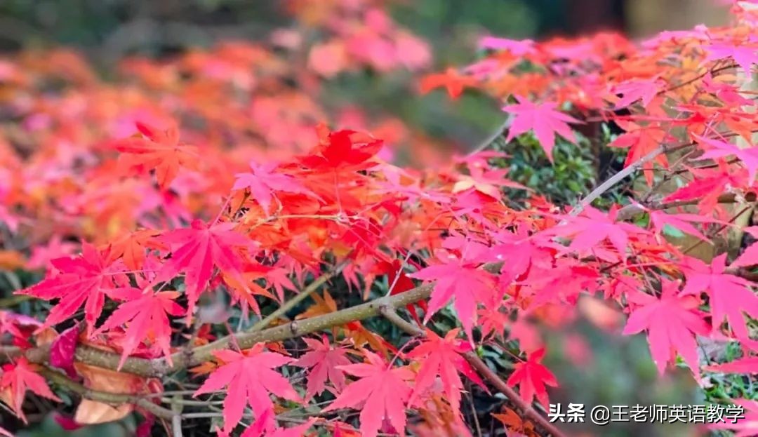 四个维度深入分析,四个维度主要内容