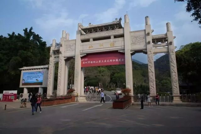 深圳爬山的好去处,深圳爬山地方推荐适合小朋友