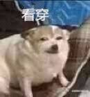 4句万能祝酒词帮你轻松拿捏酒局,酒桌必备口才100句祝酒词领导