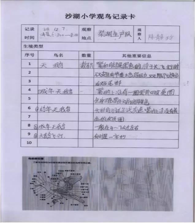 龙感湖小学视频,龙感湖中心小学教育