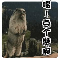 手机流量不够怎样划算省钱,手机流量不够用怎样办流量划算些