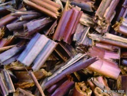 石食者THESTONEEATERS六