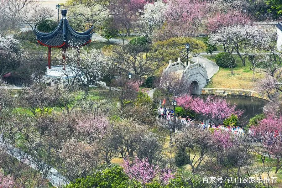 苏州西山免费打卡,苏州东山风景区网红打卡