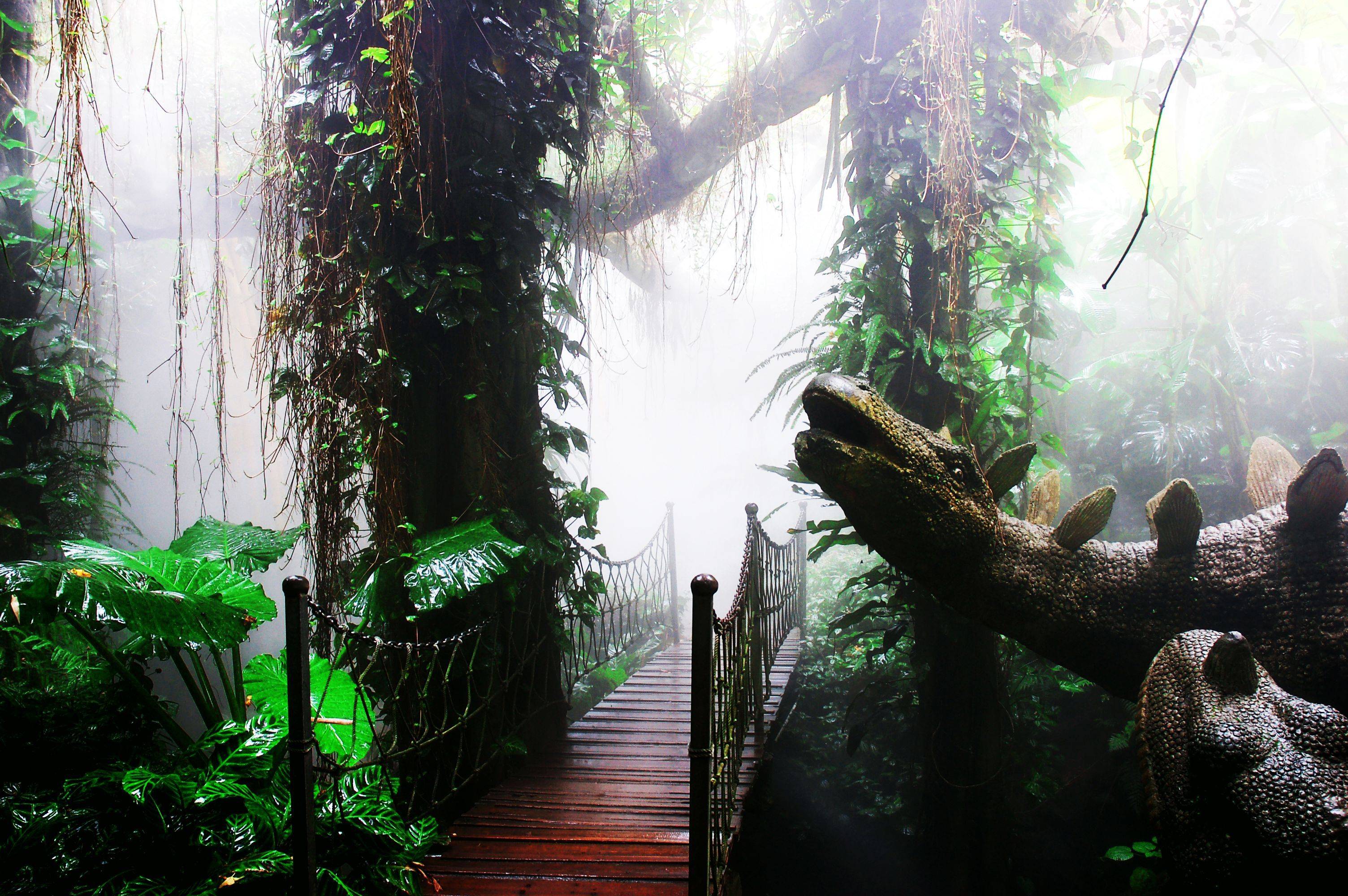 南山青青世界风景区,南山青青世界公园有什么