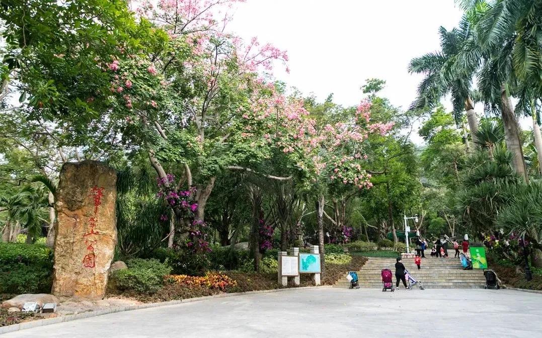 深圳值得打卡的建筑物,深圳最值得打卡的山