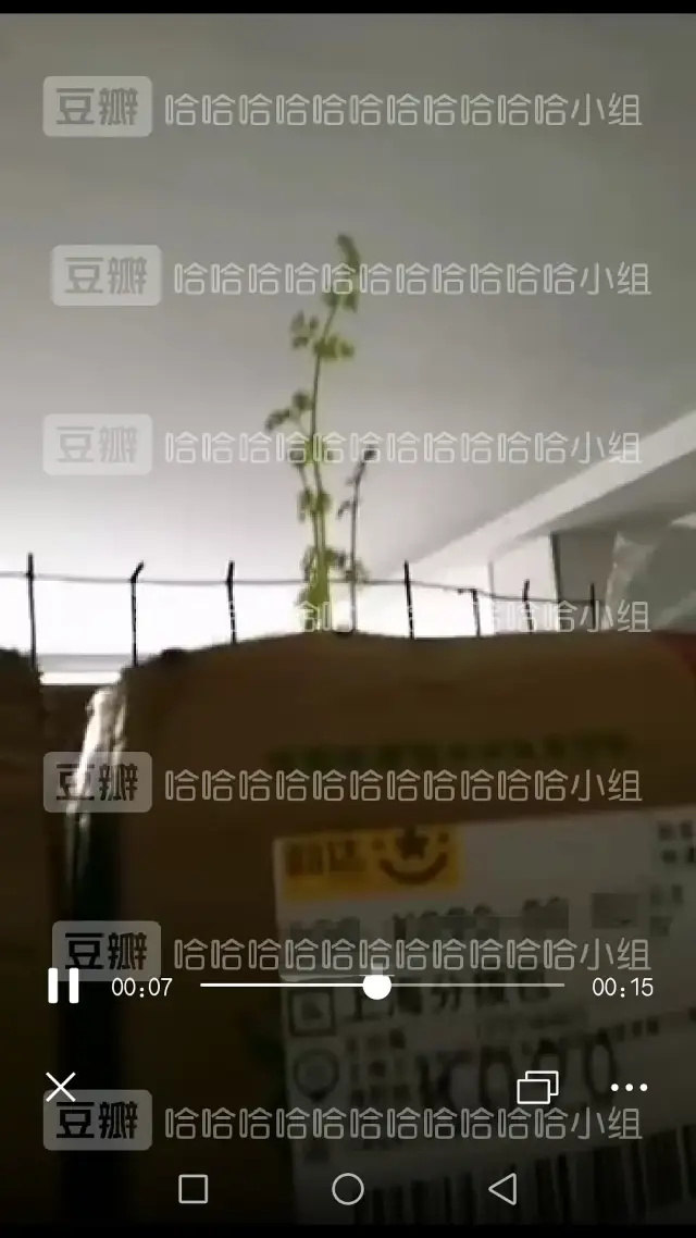 我收的不是“快递”,是笑话