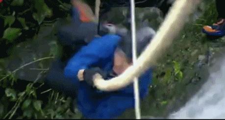 出道八年被黑八年,出道七年当明星关停网站后续