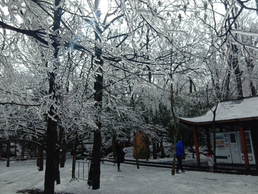 张家界天门山雪景,张家界天门山国家森林公园