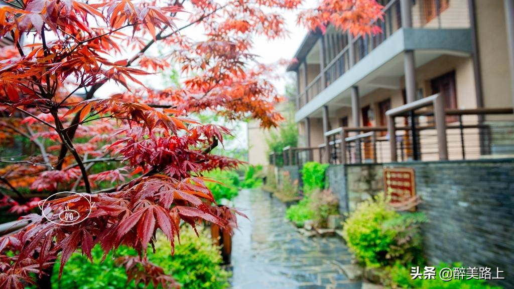 武汉野村谷度假,武汉野村谷风景