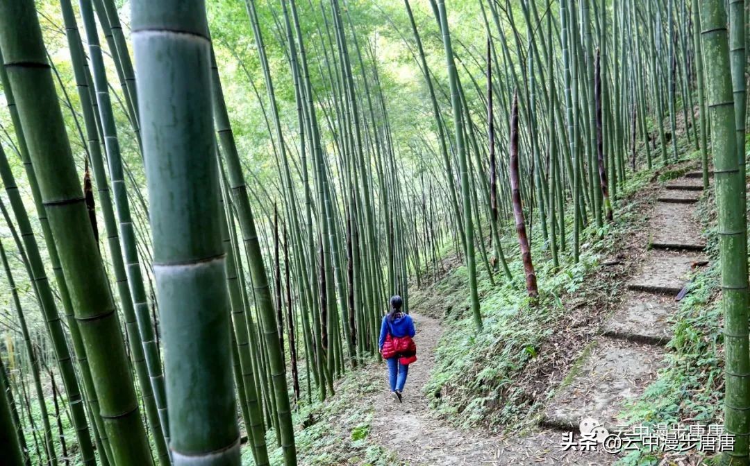 什邡蓥华大峡谷漂流还有什么玩的,九龙溪漂流和蓥华大峡谷漂流