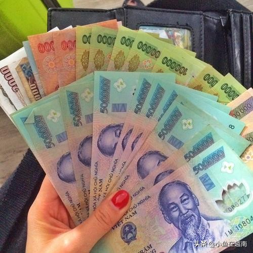 越南穷游自由行视频,越南穷游攻略10天多少钱