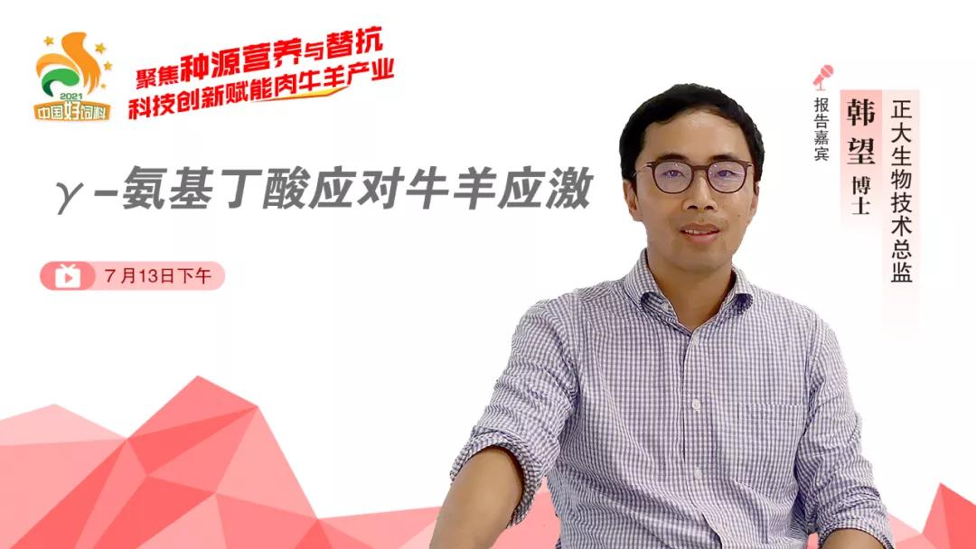 聚焦种源营养与替抗，7位专家分享“科技创新”赋能肉牛羊产业