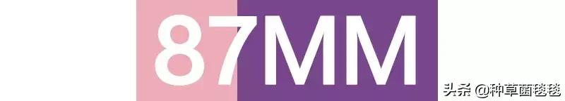 拒绝撞衫盘点那些可能绝版的服饰,拒绝撞衫店铺推荐