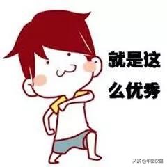 中图闪测仪vx8200,中图vx8300闪测仪