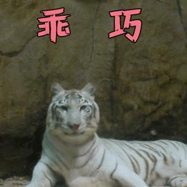 被狗咬伤怎么处理好,被狗咬伤怎么处理最好方法