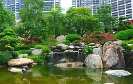 笑谈种树的艺术——看园林专业的魅力