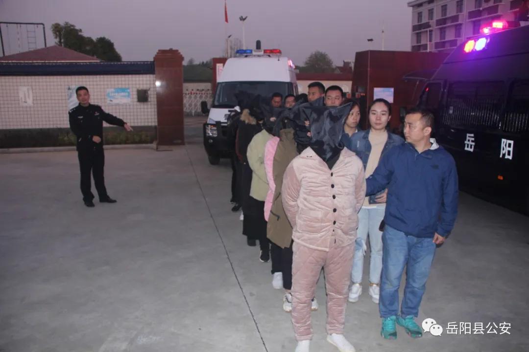 保本高收益诈骗案,低风险高回报投资骗局