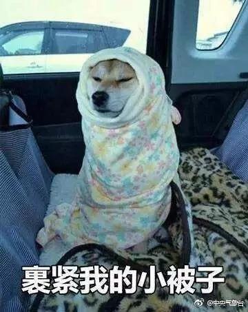 鹅毛大雪、冰粒、雨凇！听说下冰雹了？专家：是霰（xian）！焦作未来天气如何？