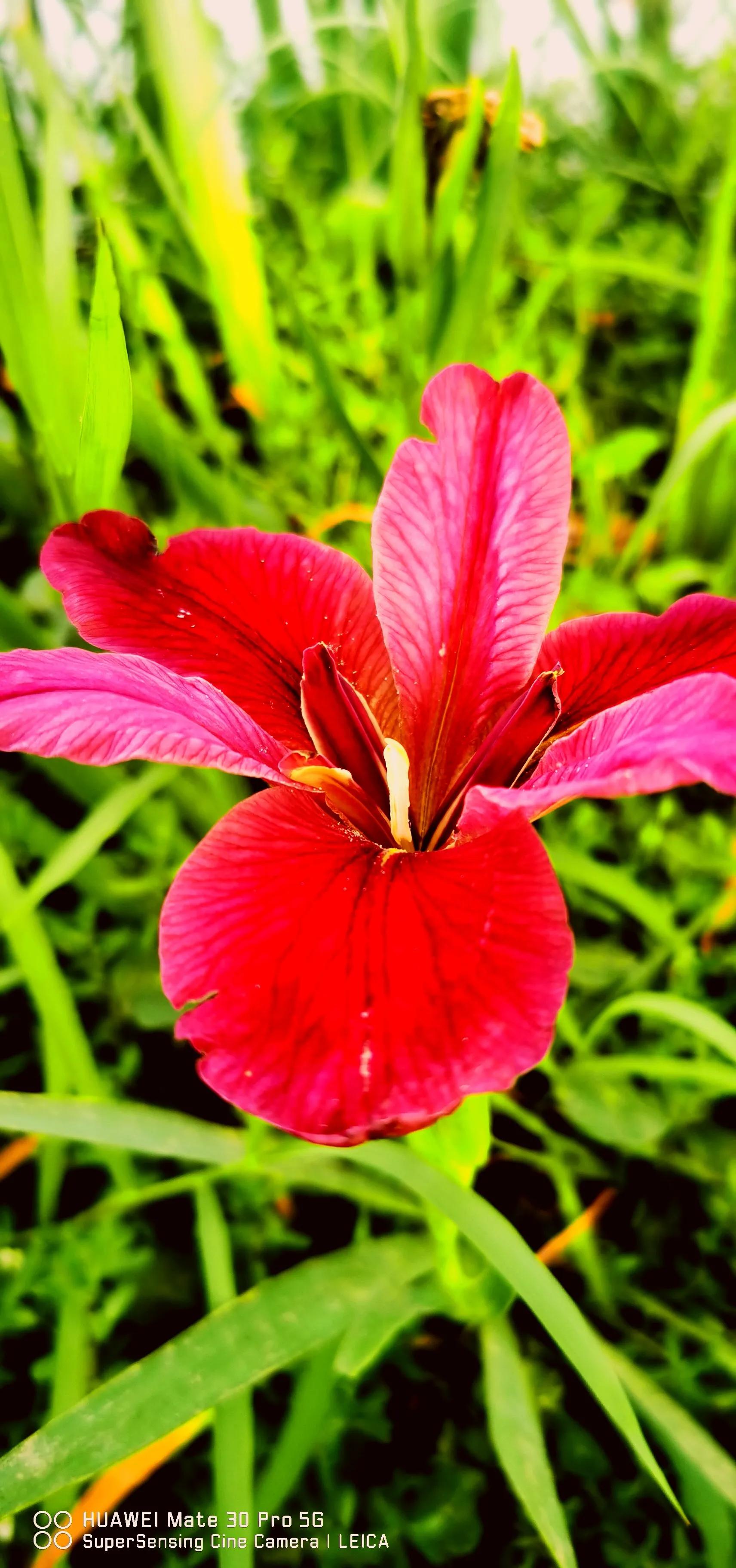 涓滆帪鑾炲煄鍙洯,涓滆帪鑳滄櫙鏃呮父