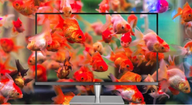 和华硕pa32ucg一样配置的显示器,华硕32寸专业显示器proartpa32uc