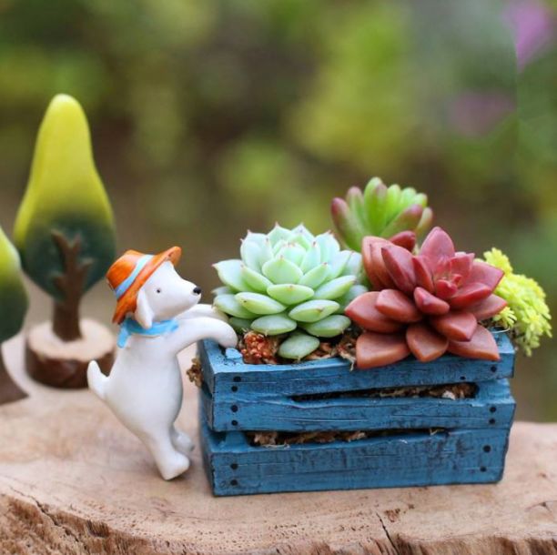 原创诗词—往事如风皆隐去心中幽梦雪莲香