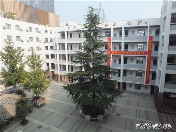 合肥最厉害的学校在哪个区,合肥各区学校排名