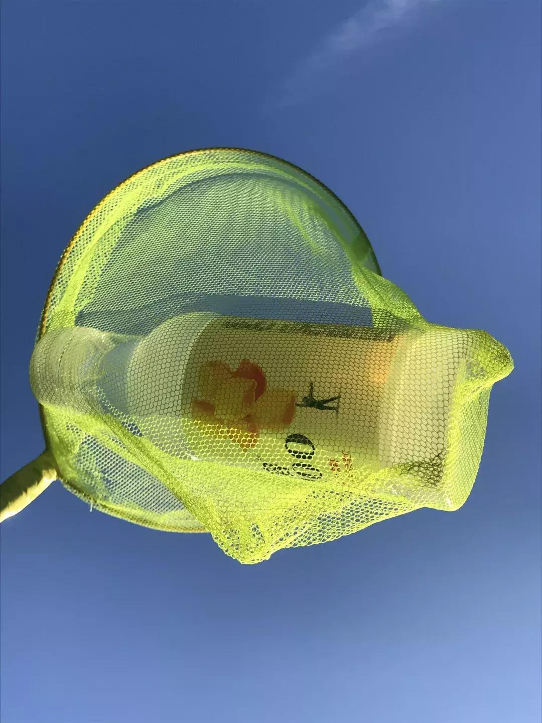 已经2019年了，我们还能拿“搞乐队”这件事耍帅吗？