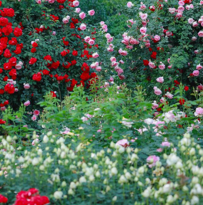 周边有什么可逛的地方吗,4月适合去哪儿旅游攻略