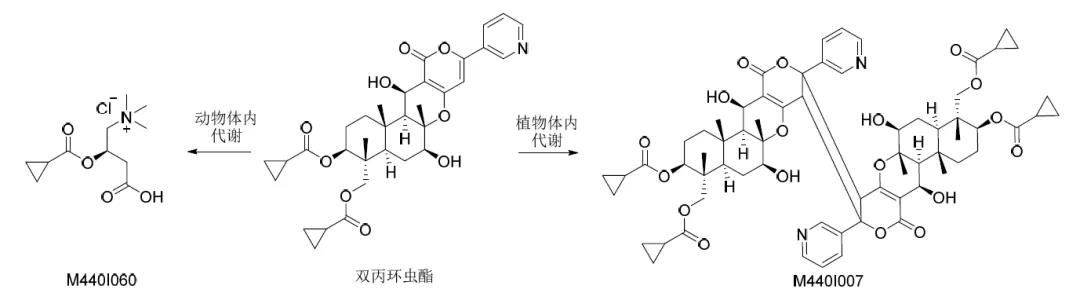 英威双丙环虫酯杀虫剂,红蜘蛛杀虫剂联苯丙酯
