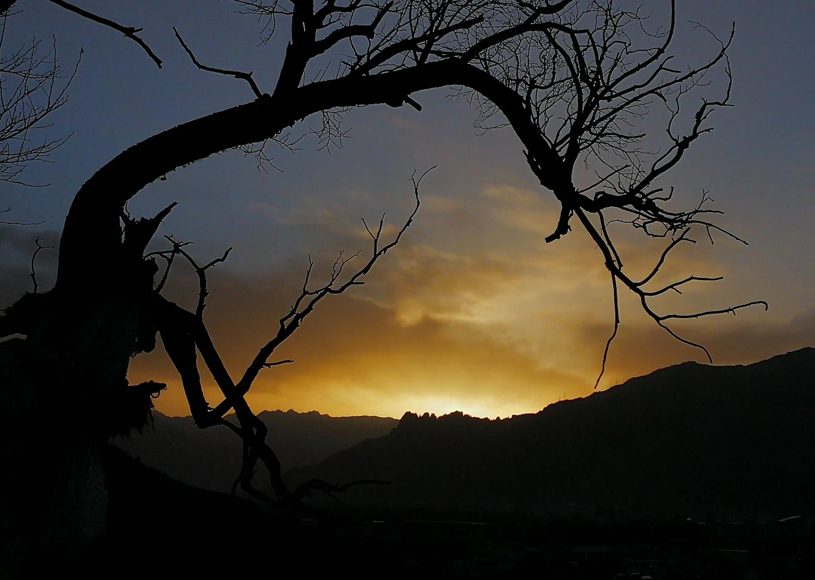 手拍世界投稿,手拍世界作品专集