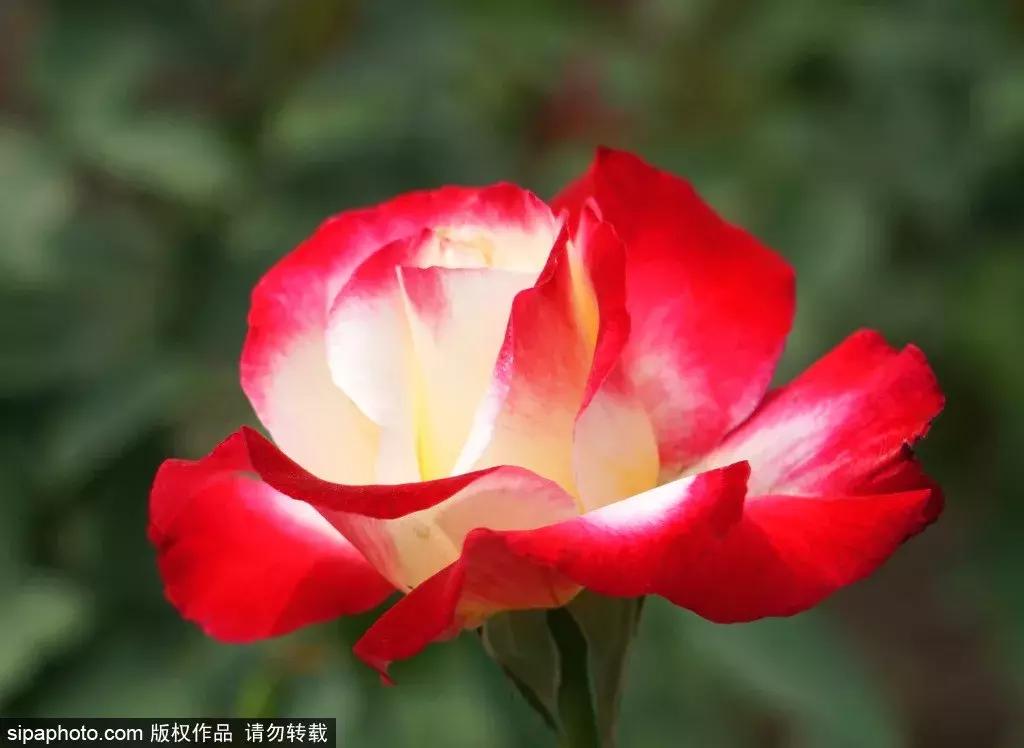 24日旅游精选：酒店里这些玩意儿，到底是干嘛的啊？