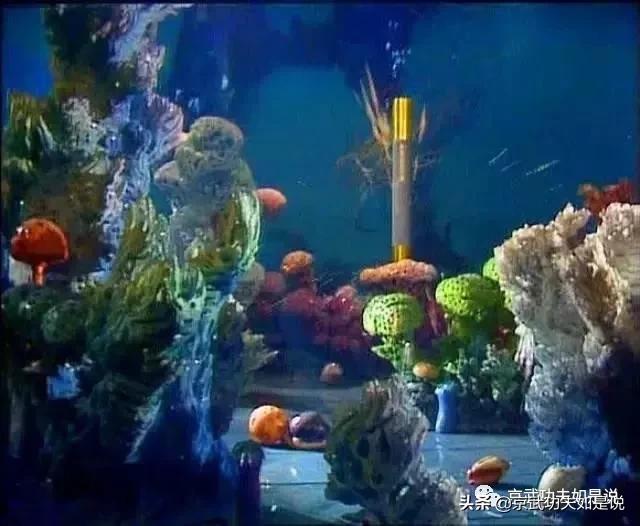 杨露禅双鱼步教学视频,双鱼步